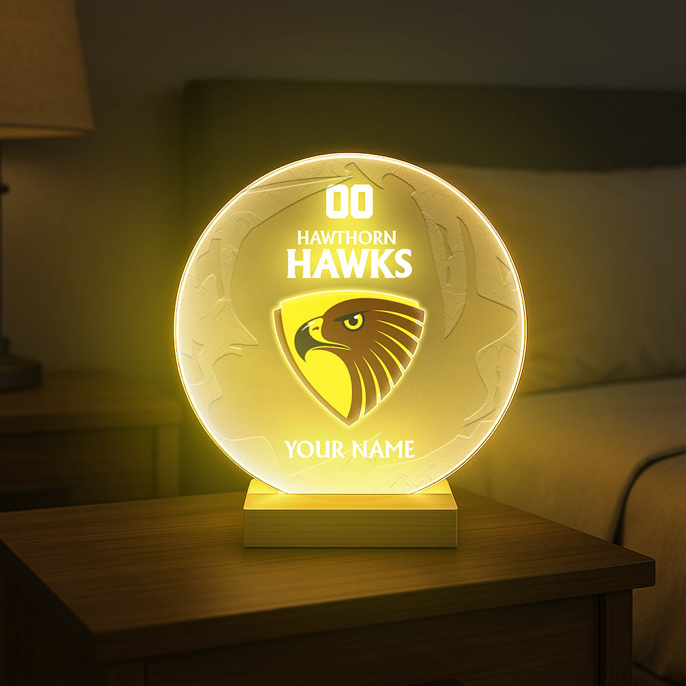 AFL 2025 Circular Acrylic LED Night Light