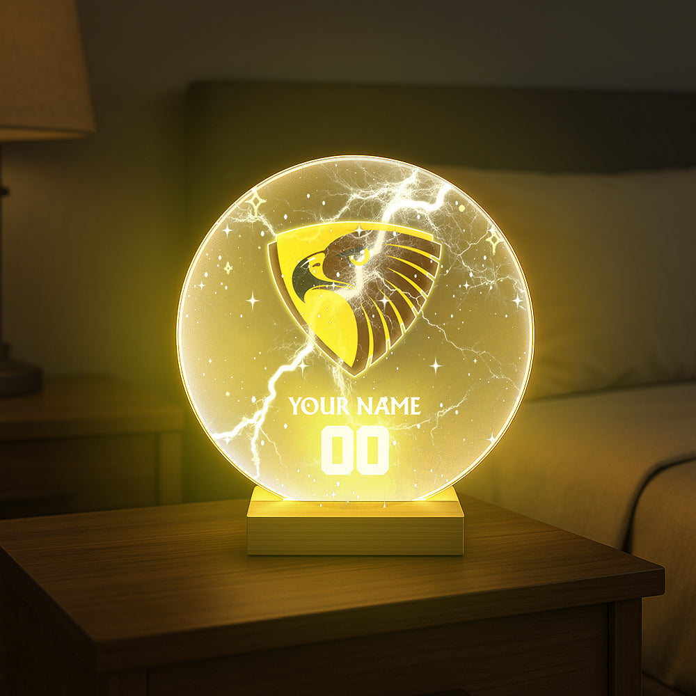 AFL 2025 Circular Acrylic LED Night Light