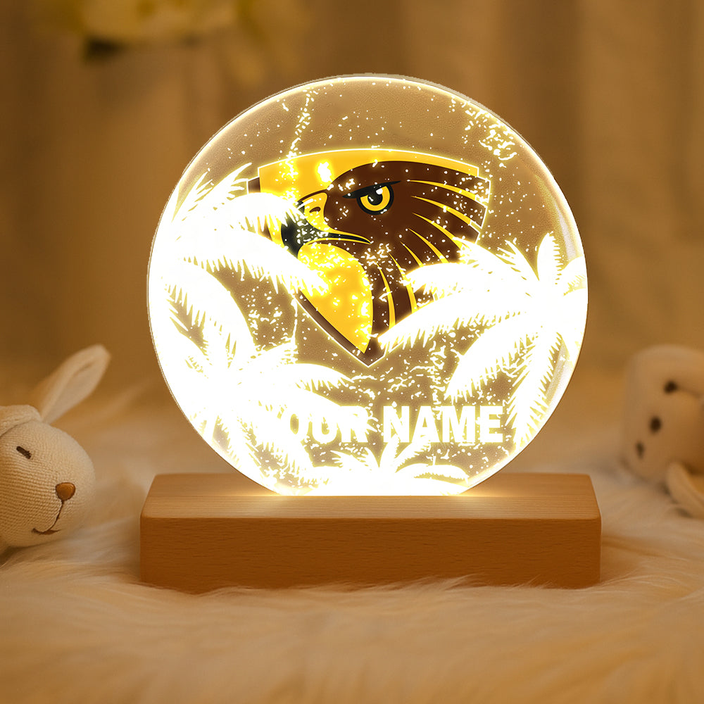 AFL 2025 Circular Acrylic LED Night Light